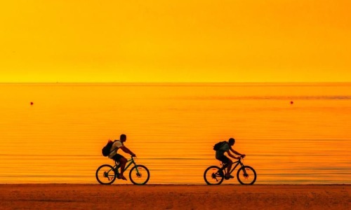 a couple of people riding bikes on a beach